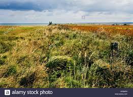 Reculver Country Park